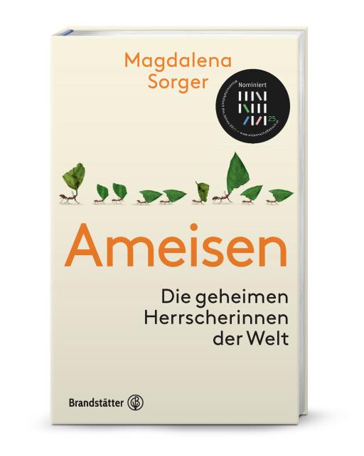 Magdalena Sorger - Ameisen