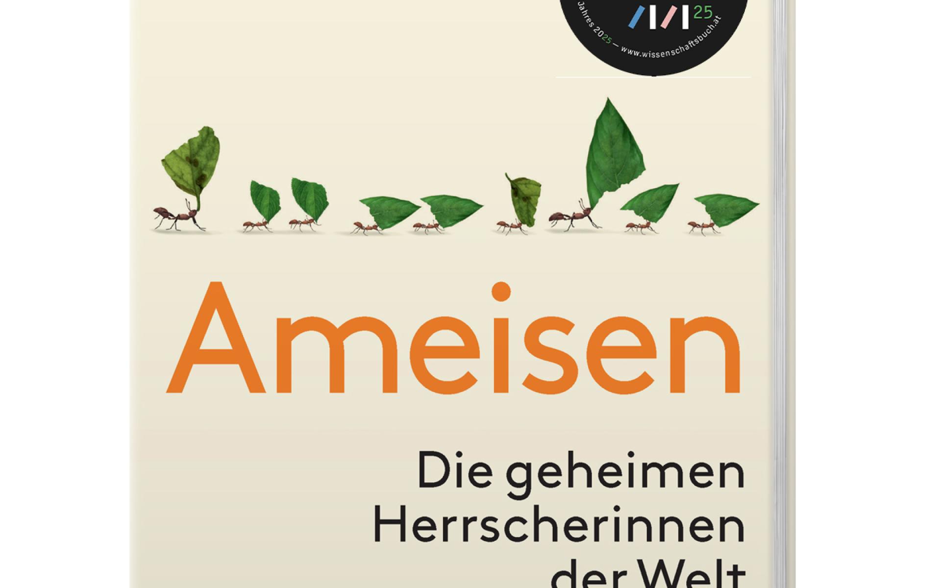 Magdalena Sorger - Ameisen